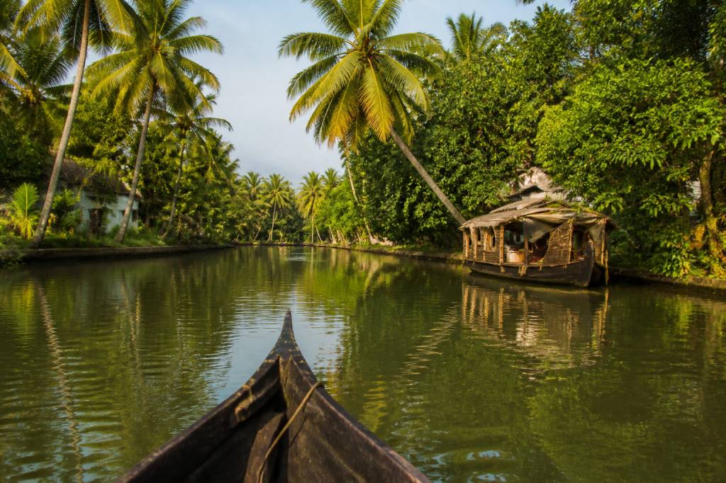 Kerala, un voyage apaisant au cœur des backwaters sereins